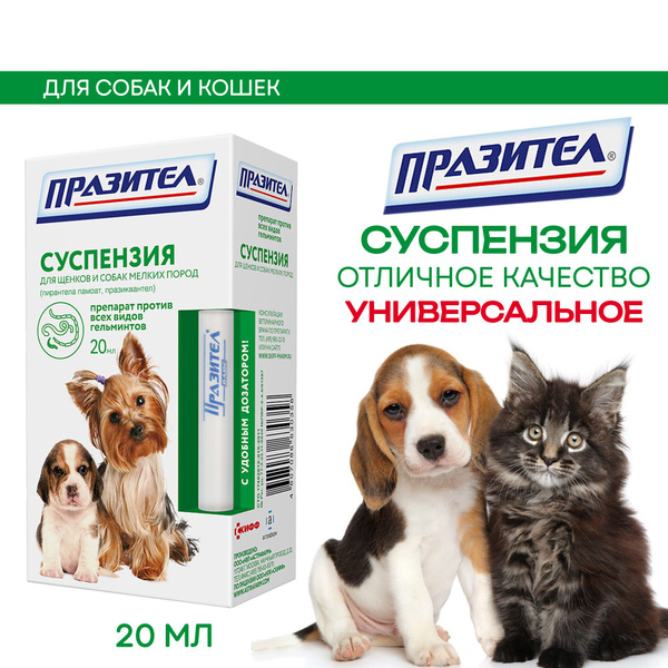 Празител от глистов для щенков и собак мелких пород. Суспензия ...