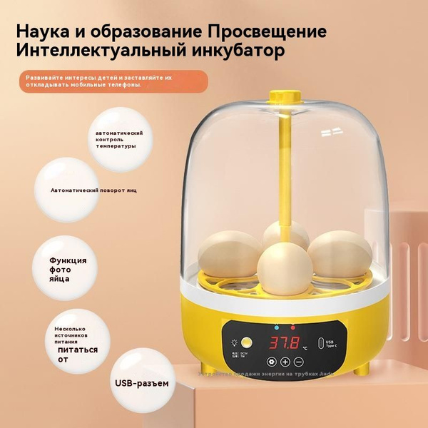 Инкубатор для яиц - купить с доставкой по выгодным ценам в интернет ...