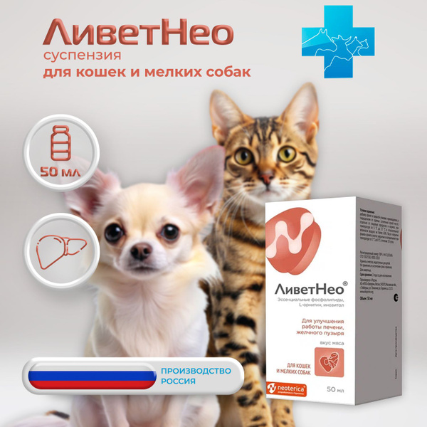ЛиветНео суспензия для кошек и мелких собак, 50 мл купить на OZON по ...