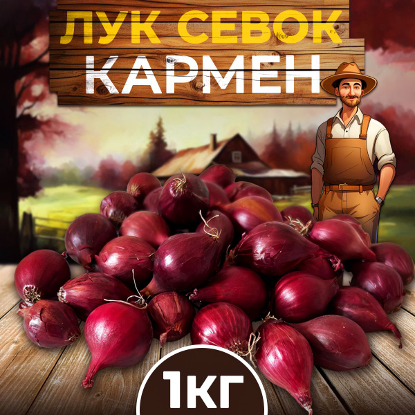Лук севок, Лук центурион - купить по выгодным ценам в интернет-магазине ...