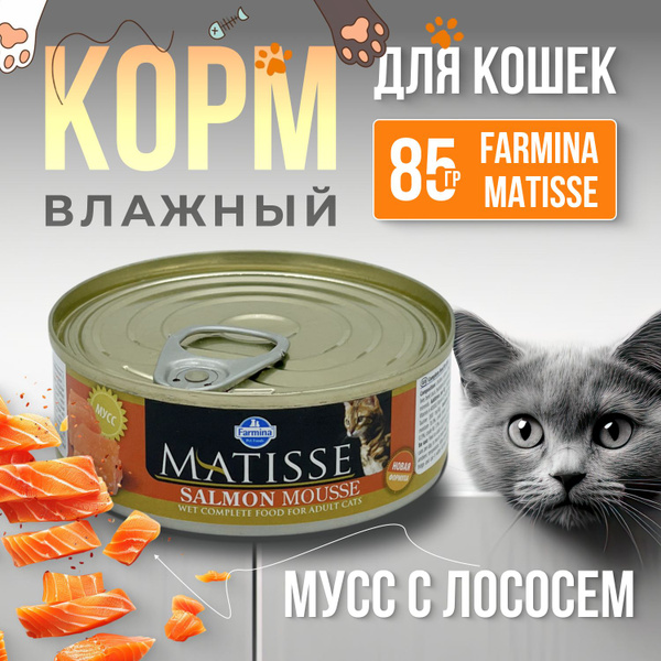 Корм для кошек влажный, Farmina MATISSE, мусс с лососем, 85 гр - купить ...