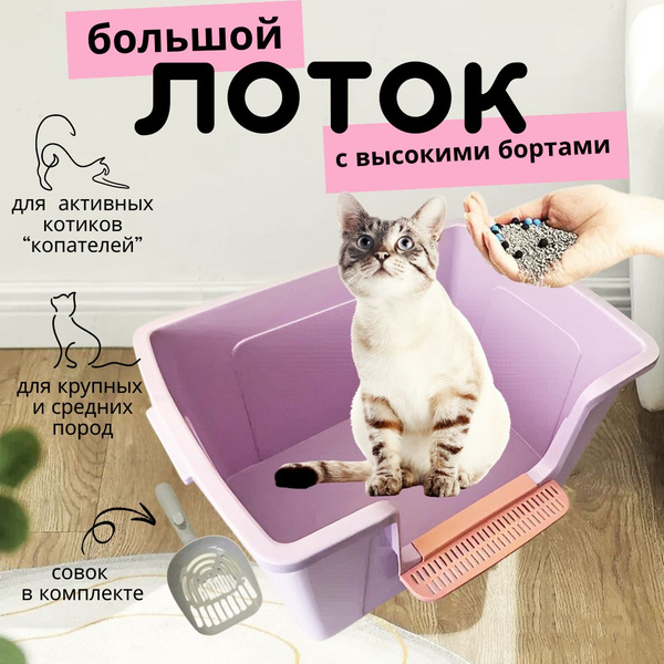 Туалет с высокими бортиками для кошек крупных пород, лоток кошачий ...