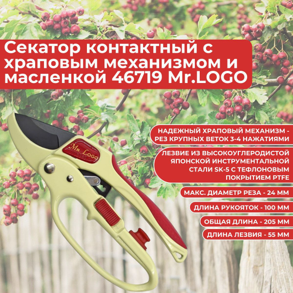 Секатор Mr.Logo 46719 - купить по выгодным ценам в интернет-магазине ...