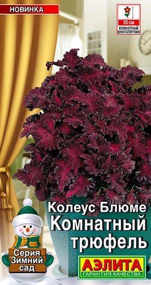 Колеусы Аэлита Комнатные Мир семян - купить по выгодным ценам в ...