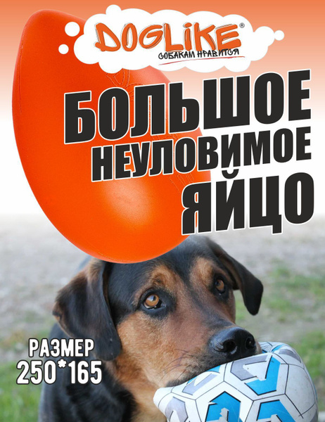 Неуловимое яйцо купить на OZON по низкой цене (1755238340)