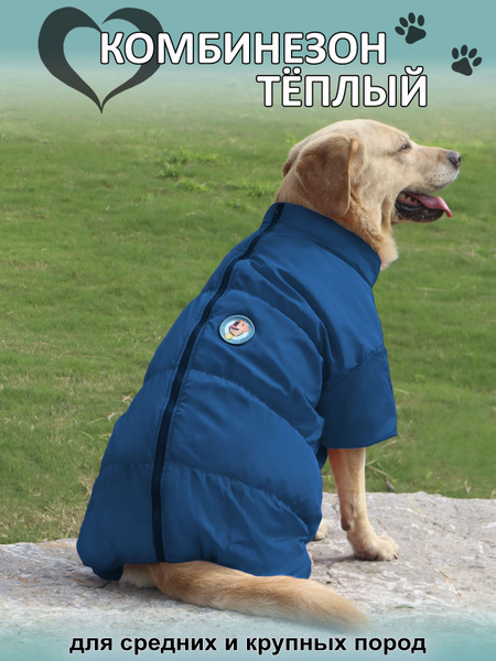 Комбинезон Rexy crew "Rexy" для собак средних и крупных пород, цвет ...