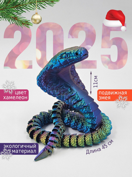2025 2025