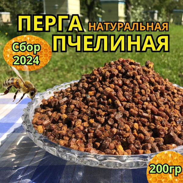 Перга пчелиная натуральная купить на OZON по низкой цене (1774565761)