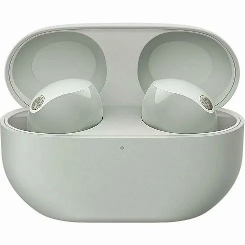 Характеристики Sony Наушники беспроводные с микрофоном Sony WF-1000XM5 ...