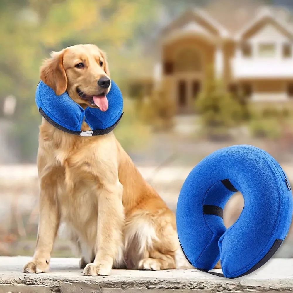 Pet product. Спасательный круг для собак. Надувной ошейник для собак. Воротник для собак. Собаки для защиты.