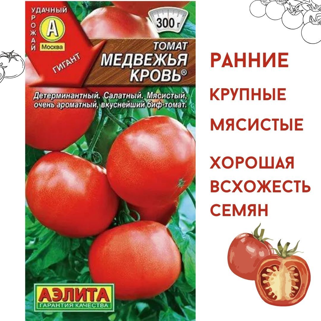 Томаты сорт медвежья лапа отзывы фото