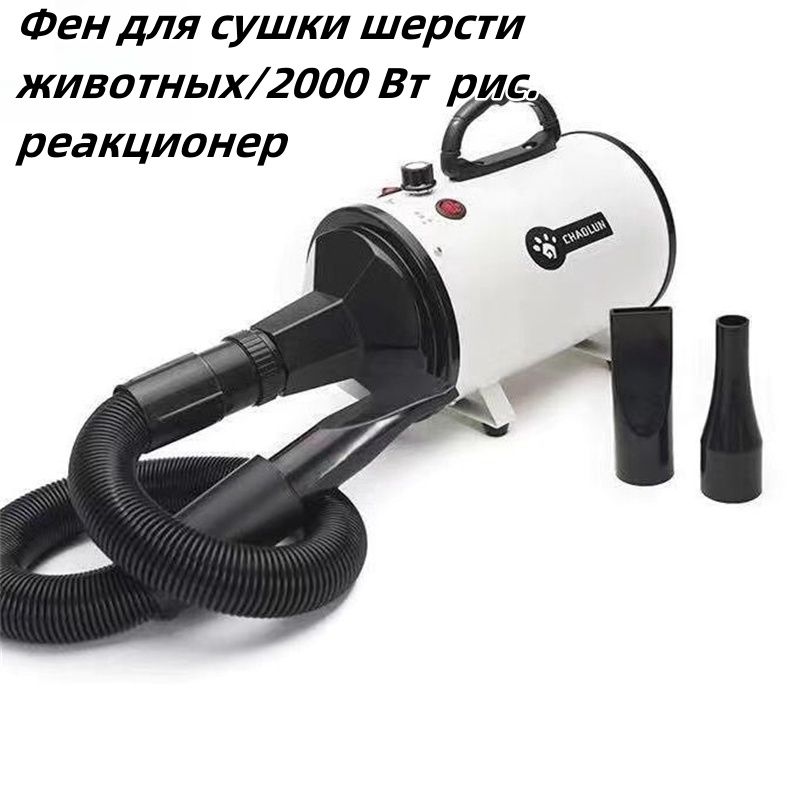 Пылесос для груминга собак и кошек. Фен для груминга собак. Фен для животных. Специальный фен для грумера кошек. Поет в фен
