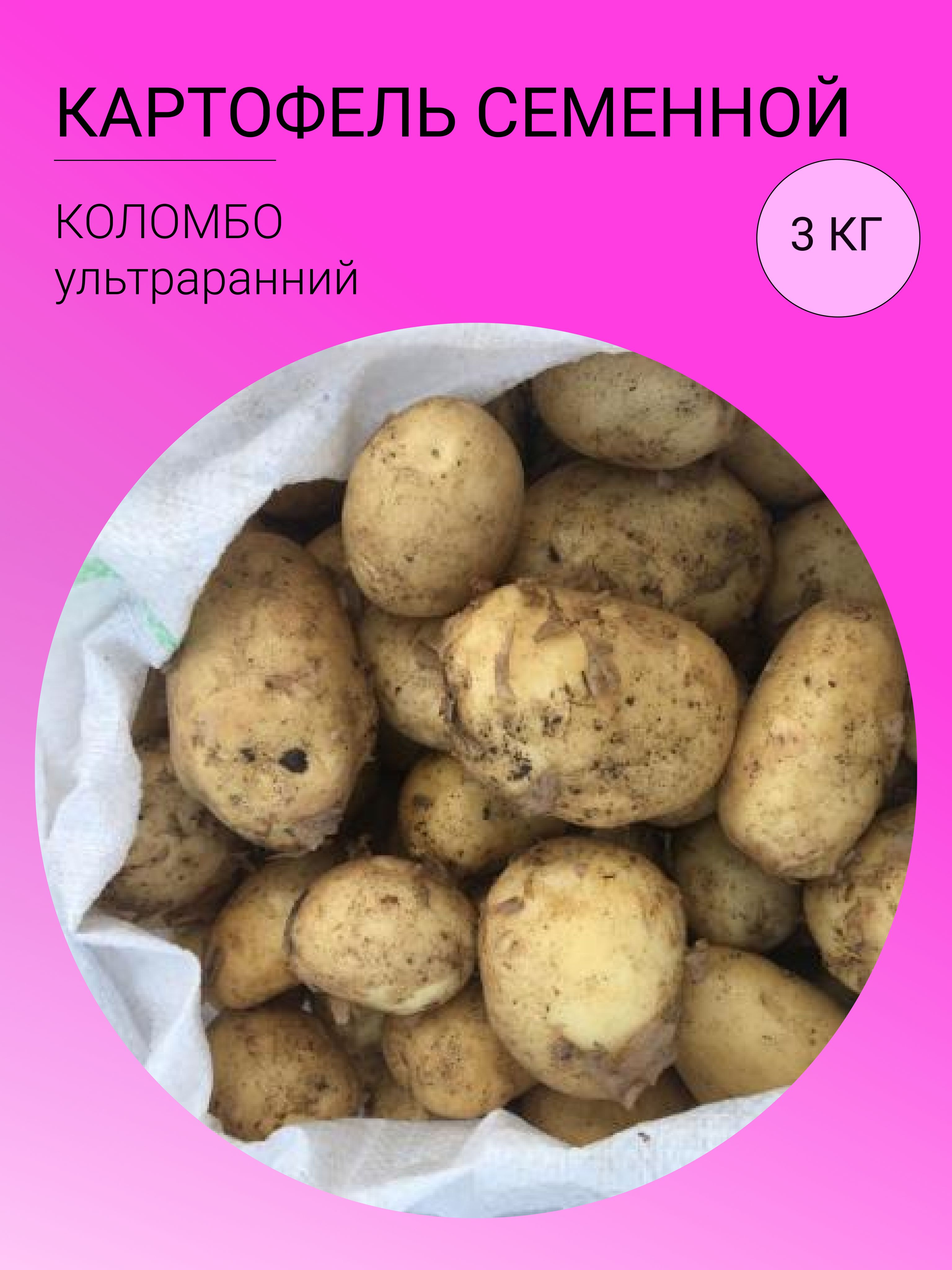 Где В Липецке Можно Купить Семенной Картофель