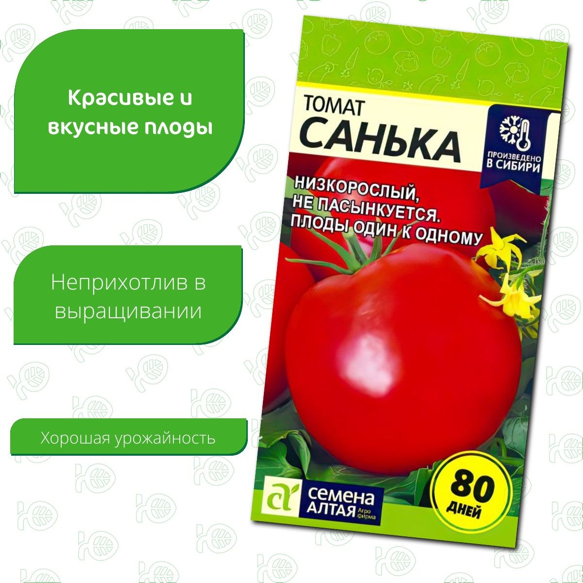 Томат Санька Купить Семена