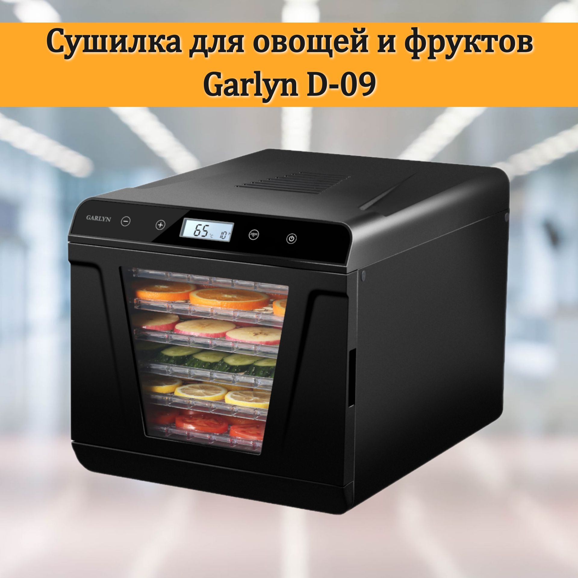 Дегидратор GARLYN D-09 6, 500 Вт - купить по выгодным ценам в  интернет-магазине OZON (624724506)