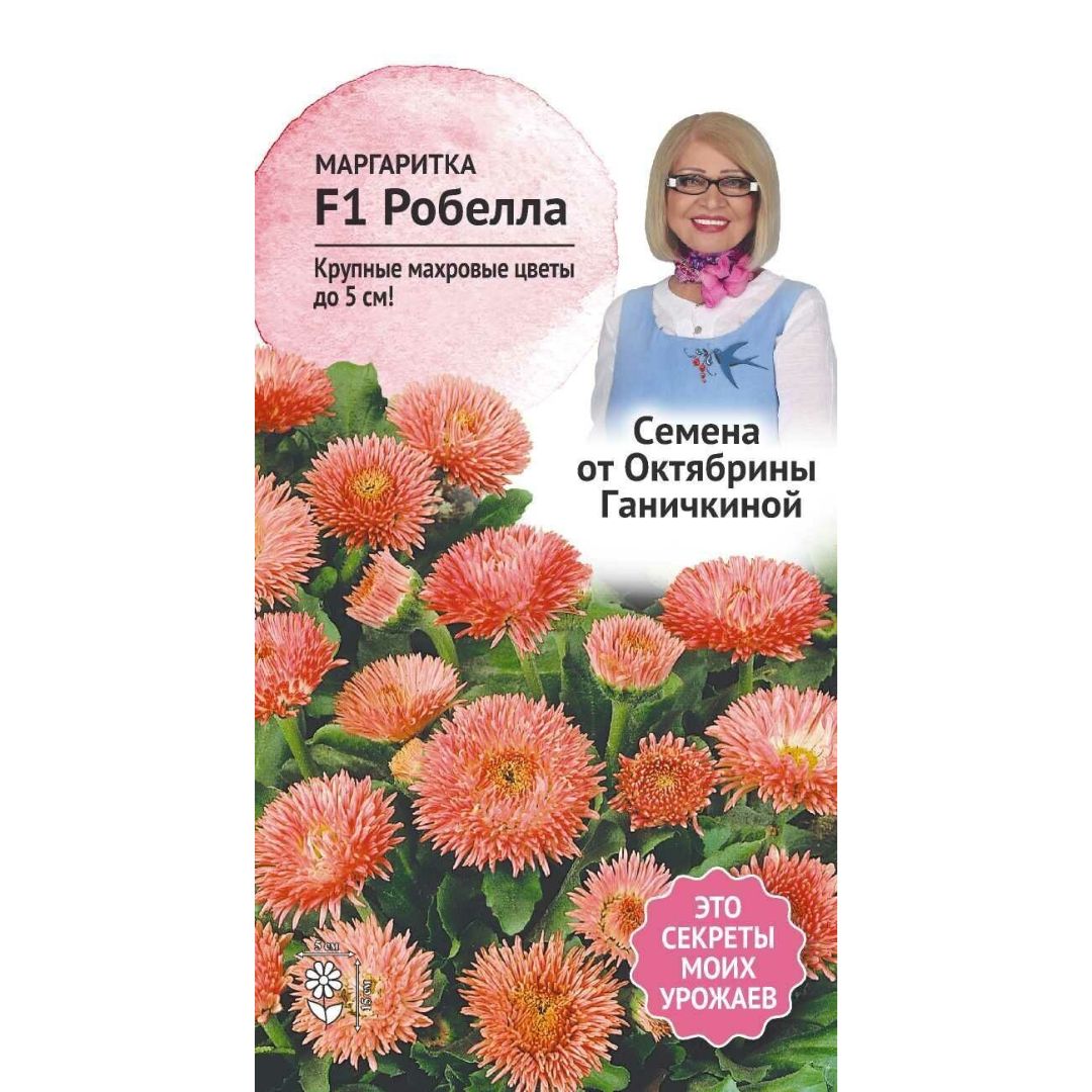 Маргаритки Семена Купить