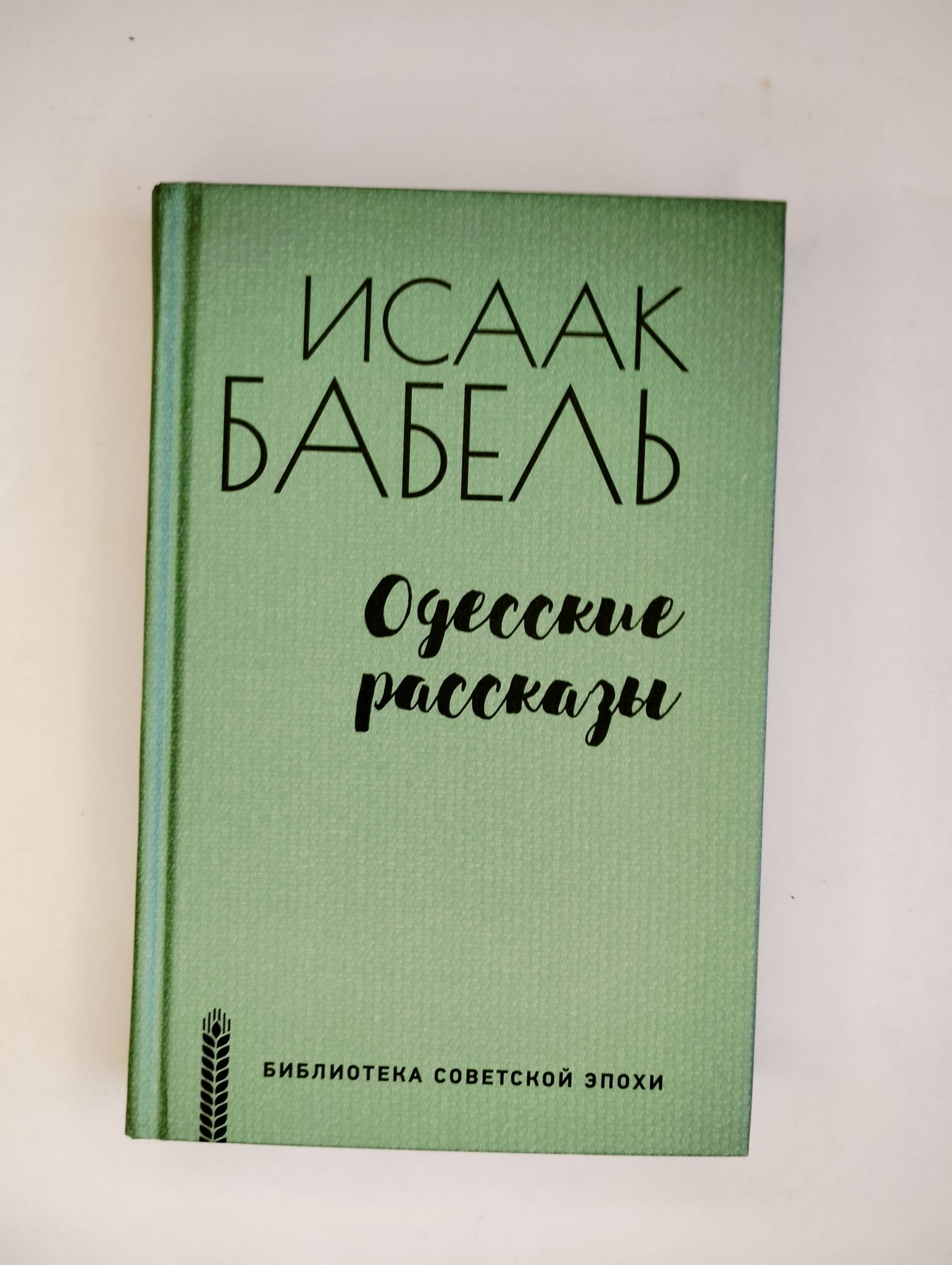 Волочков Дневник Реалиста Купить Книгу