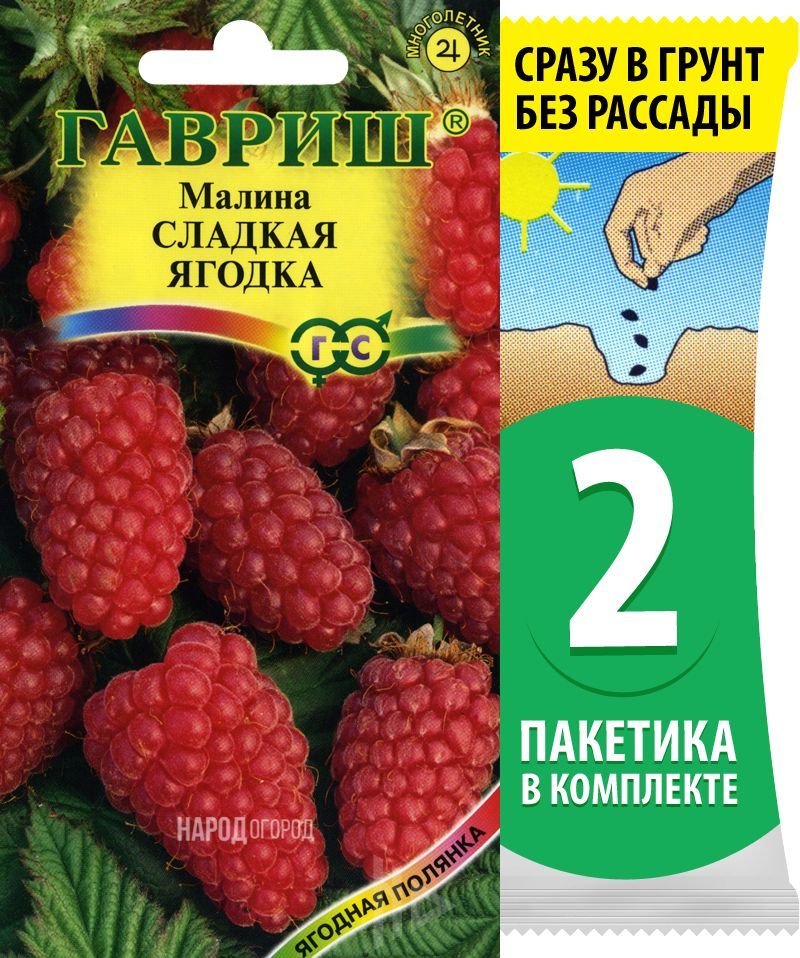 Купить Семена Малины Крупноплодной