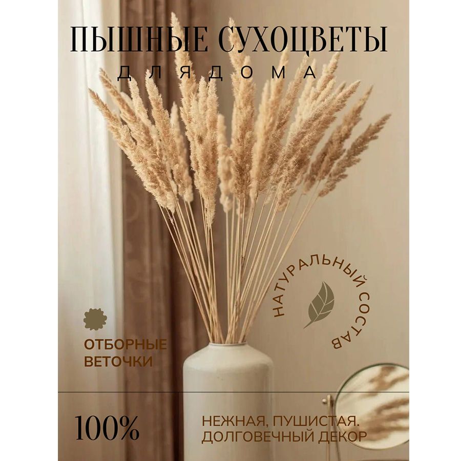 Сухоцветы Камыш, Камышовая трава, 60 см, 30 шт купить по выгодной цене в  интернет-магазине OZON (1599061391)