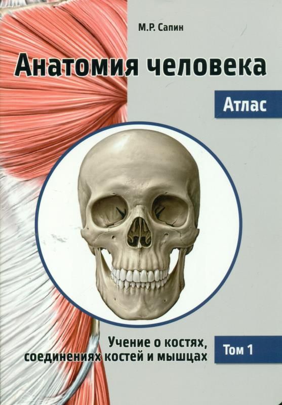 Купить Анатомию Человека В 3 Томах