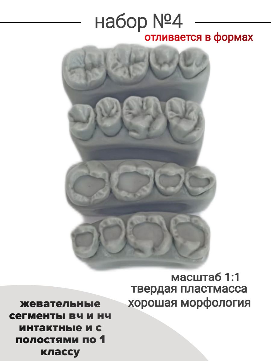 Набор №4 Зубы учебные для реставрации,стоматологический фантом. Жевательные сегменты верхней и нижней челюсти интактные и с полостями по 1 классу 4 шт