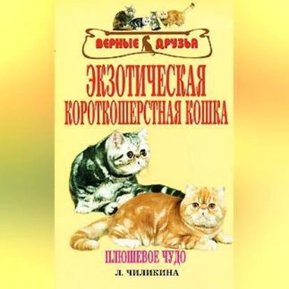 Экзотическая короткошерстная кошка | Л. А. Чиликина | Электронная аудиокнига