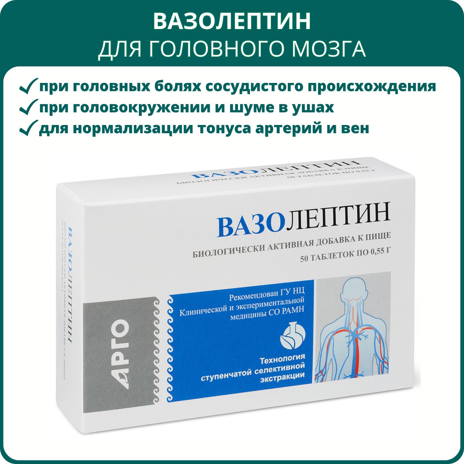 Вазолептин, таблетки, 50 шт., Апифарм, Арго. БАД для сосудов головного мозга, улучшает мозговое кровообращение, способствует нормализации артериального давления