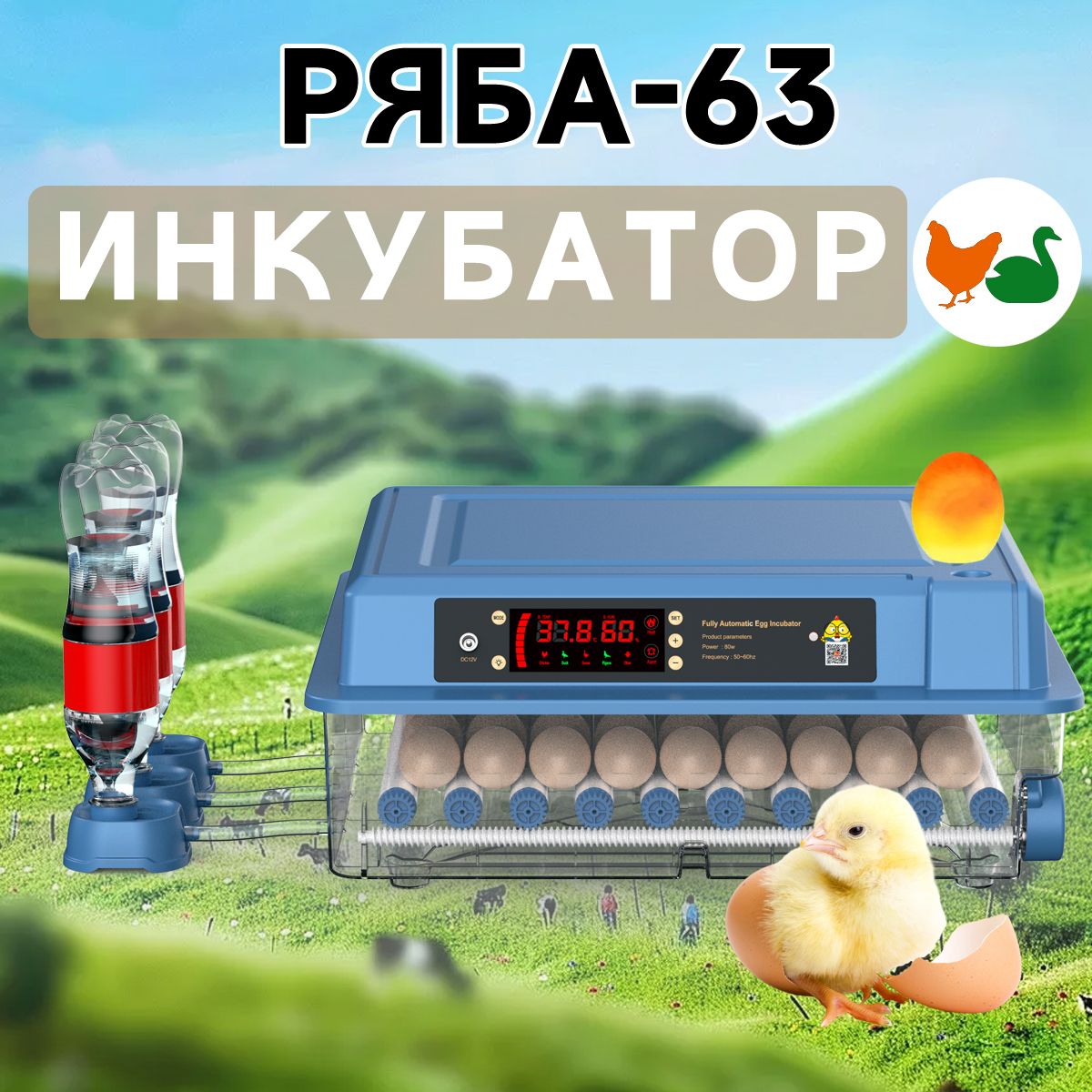 Инкубатор для яиц автоматический Ряба-64сР64 с терморегулятором, гигрометром, овоскопом, автоповоротом на 64 куриных, 108 перепелиных, 45 утиных/индюшиных, 30 гусиных яиц 220/12V