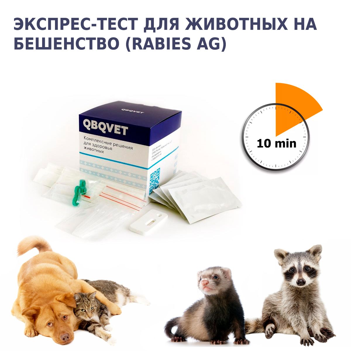 Экспресс-тест QBQVET для определения вируса бешенства (Rabies Ag), 1шт