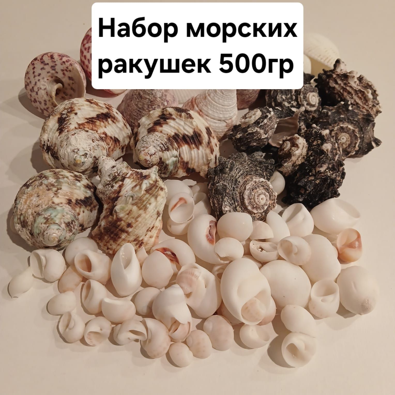 Набор морских ракушек/ декор для аквариума/ 500гр.