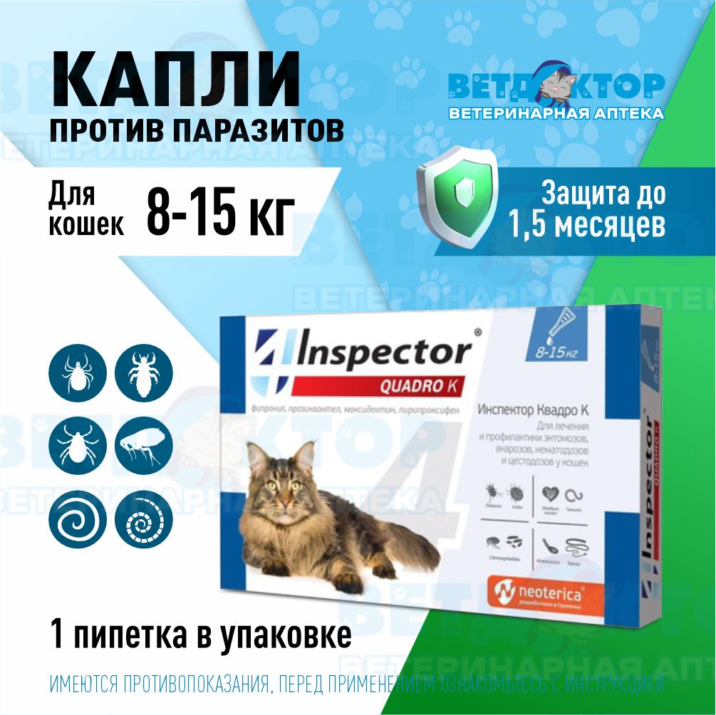 Инспектор Quadro K для кошек 8-15 кг (1 пип.)