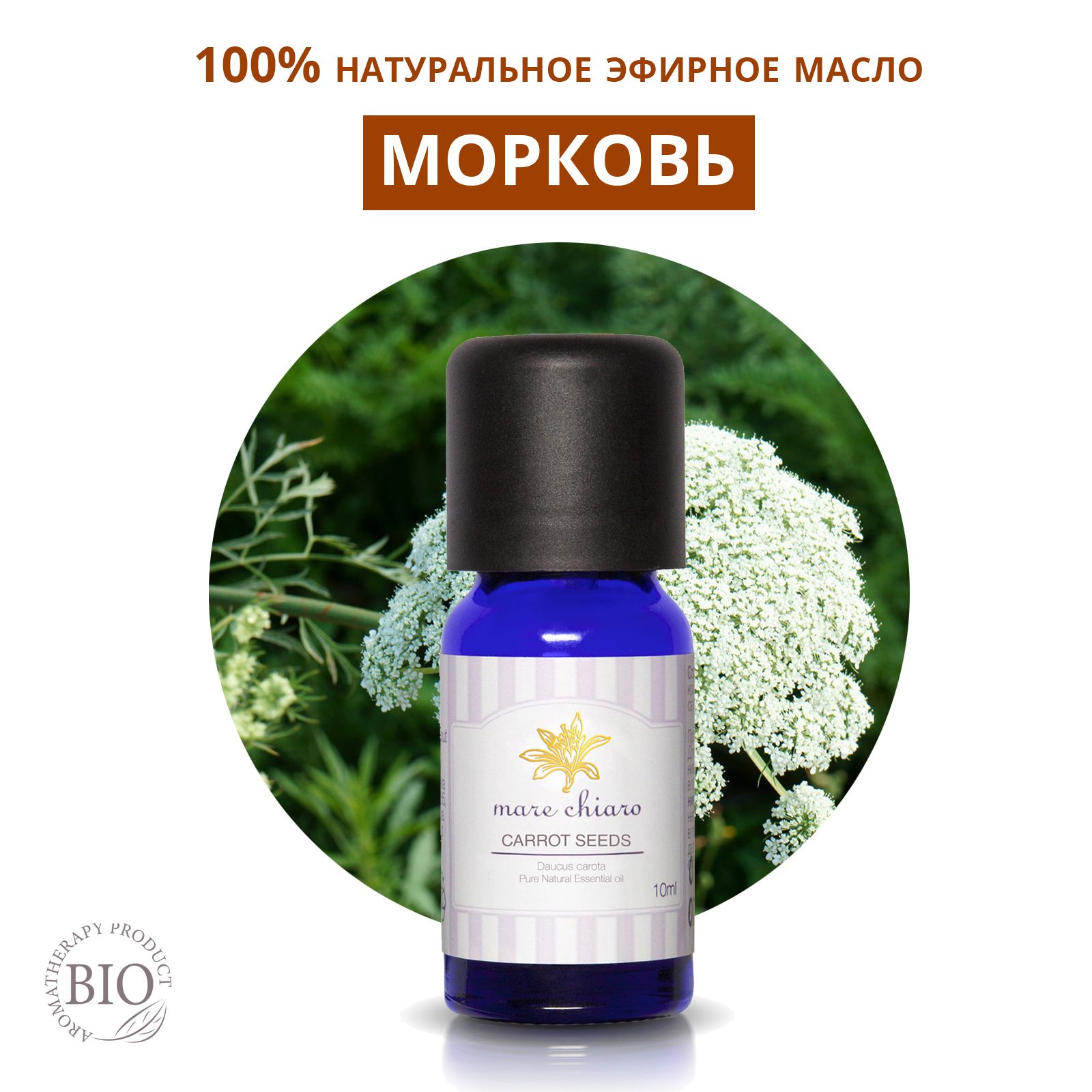 Mare Chiaro Морковь обыкновенная эфирное масло , 10 мл купить на OZON по низкой цене (894156590)