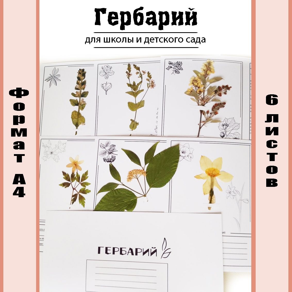 Альбом для гербария