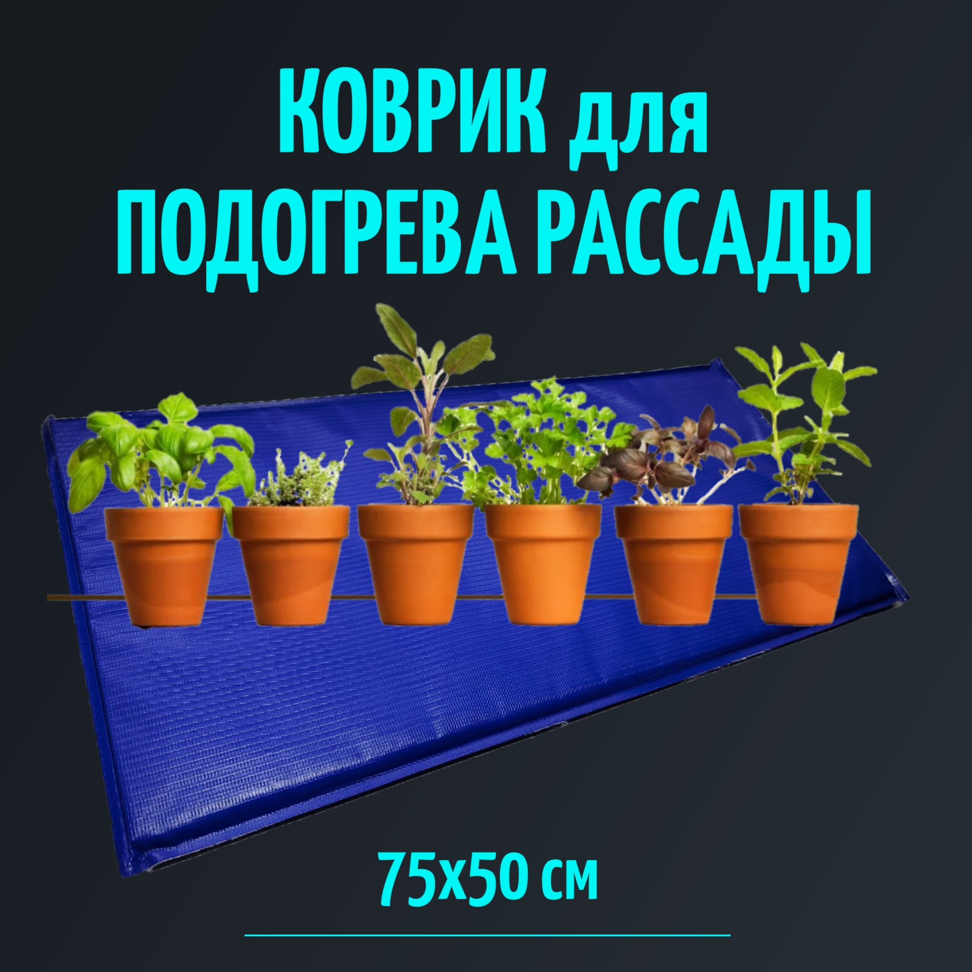 Электроподогреватель для проращивания семян рассады ТеплоМакс, 75х50 см