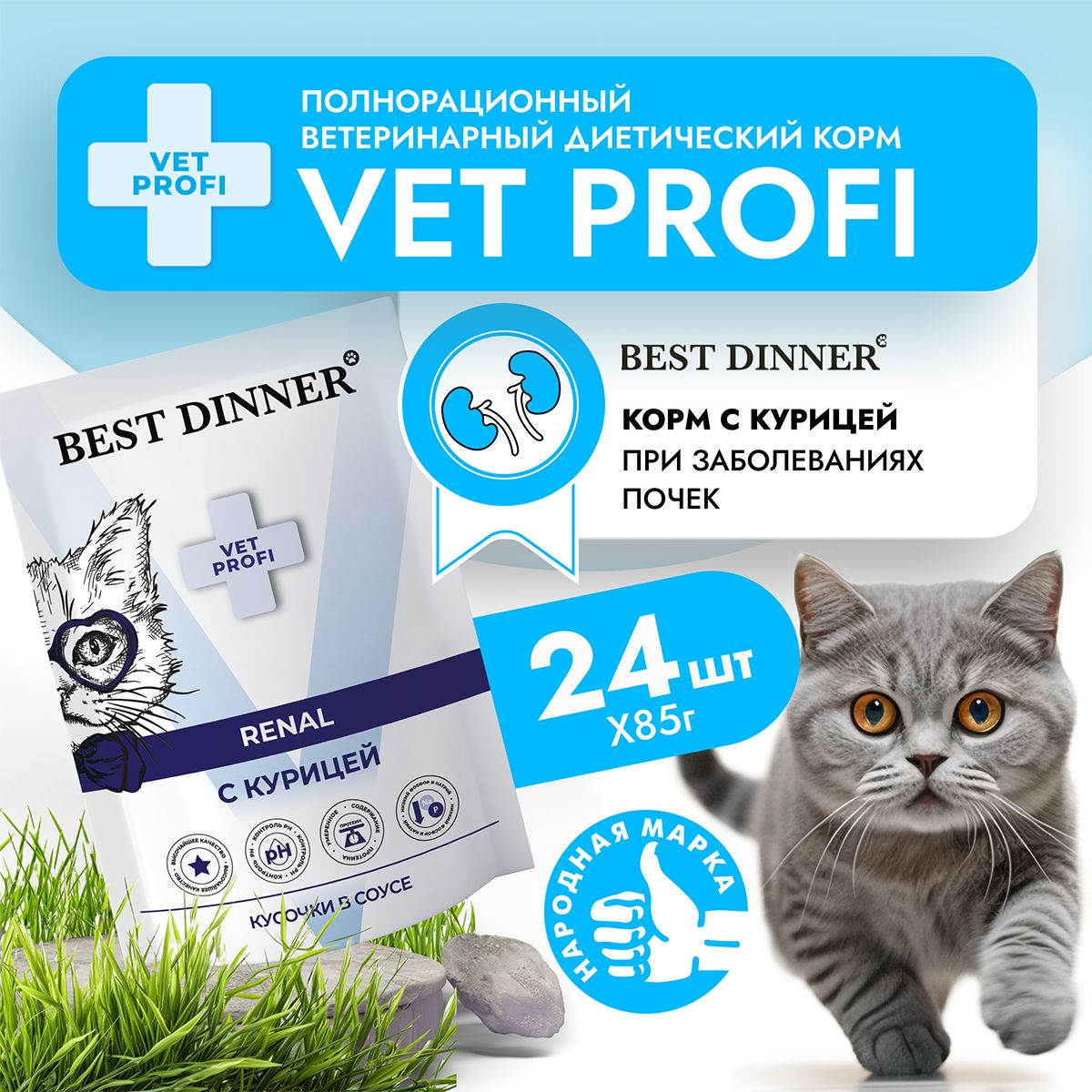 Влажный диетический корм для кошек Best Dinner VET PROFI Renal кусочки в соусе Курица, 85 г х 24 шт при заболевании почек, пауч (Бест Диннер)