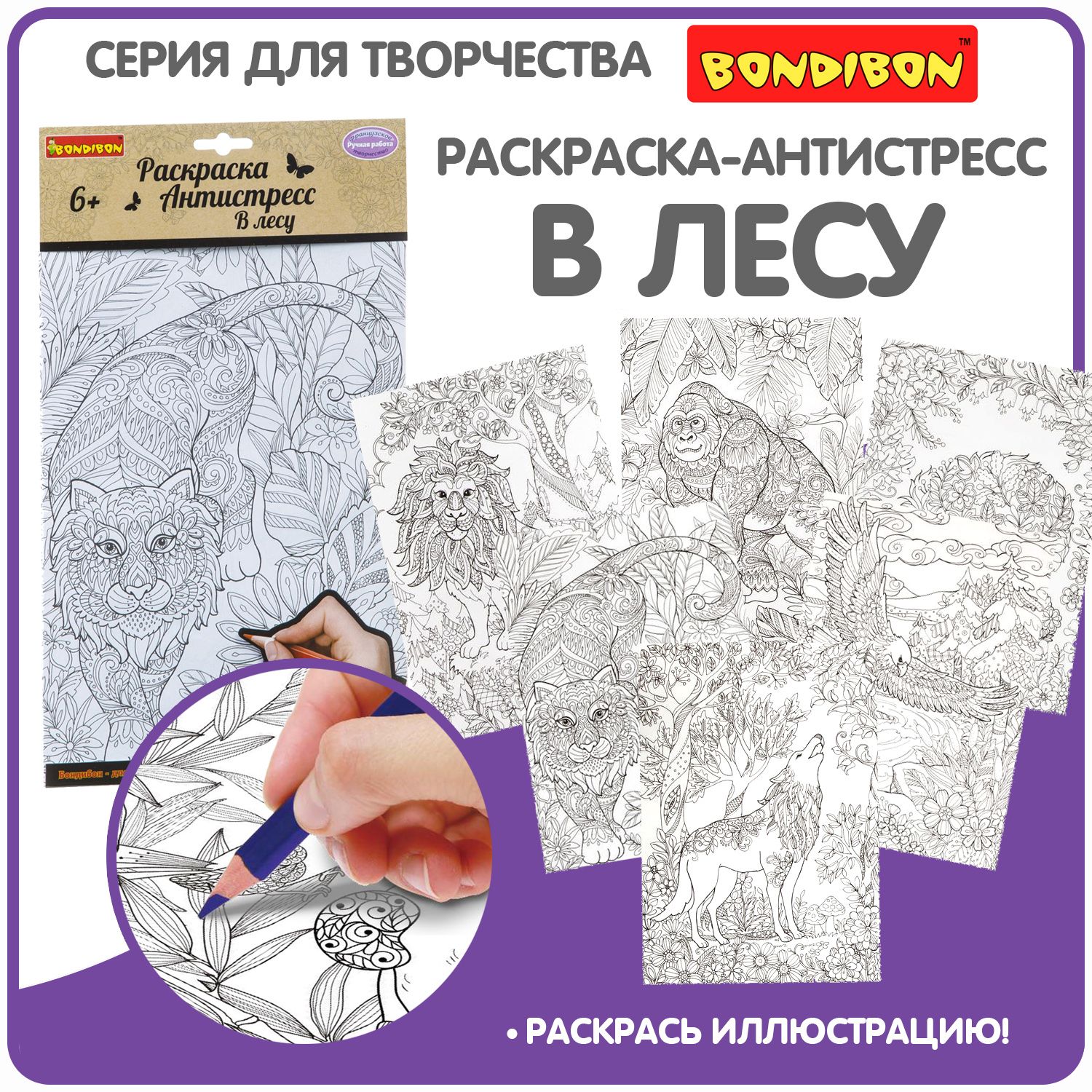 Набор раскрасок антистресс для взрослых и детей Bondibon В лесу, 6 листов, 30х21 см