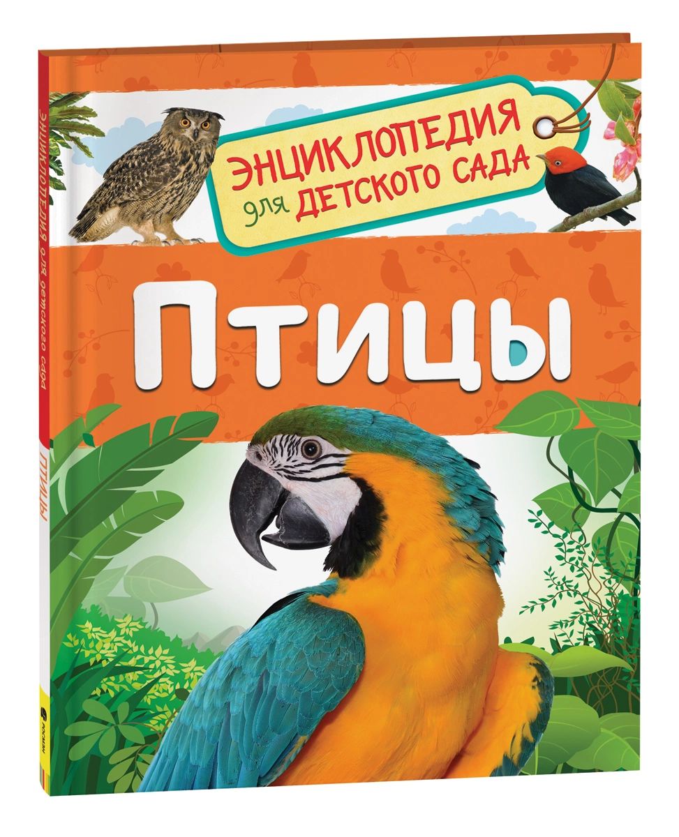 Птицы (Энциклопедия для детского сада) | Гальцева Светлана Николаевна