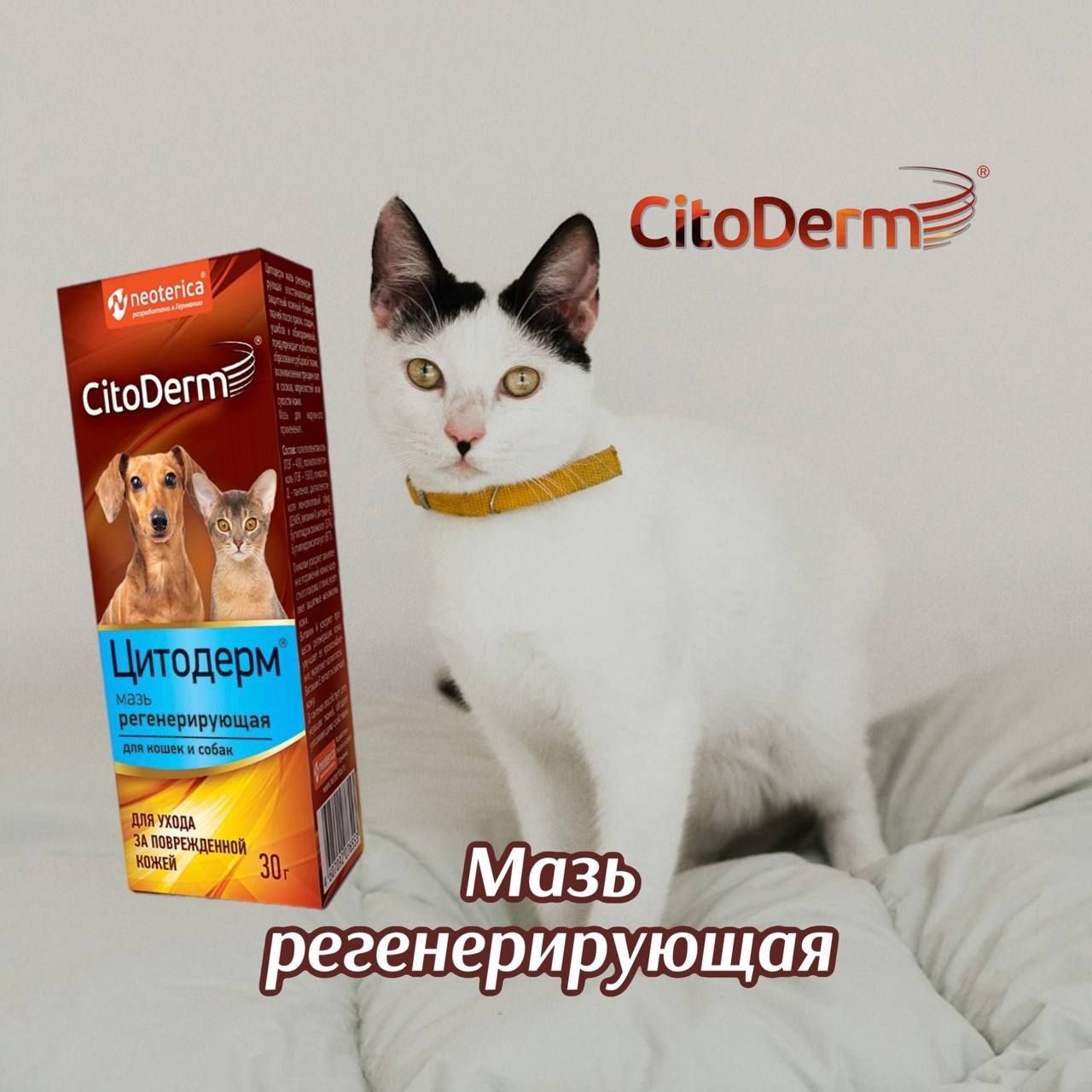 CitoDerm мазь регенерирующая для кошек и собак 30 гр