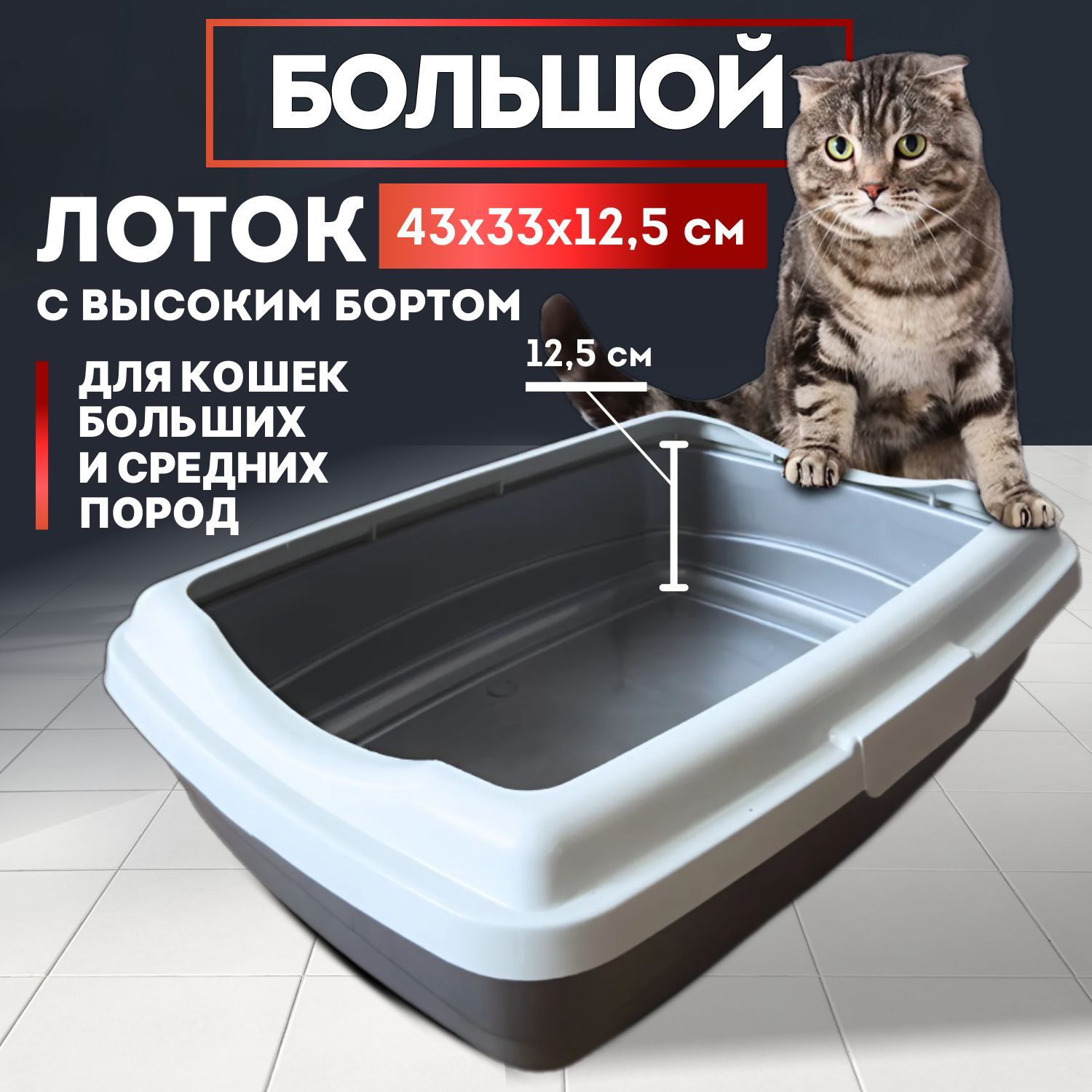 Лотокдлякошекбольшой,высокий43х33х12,5