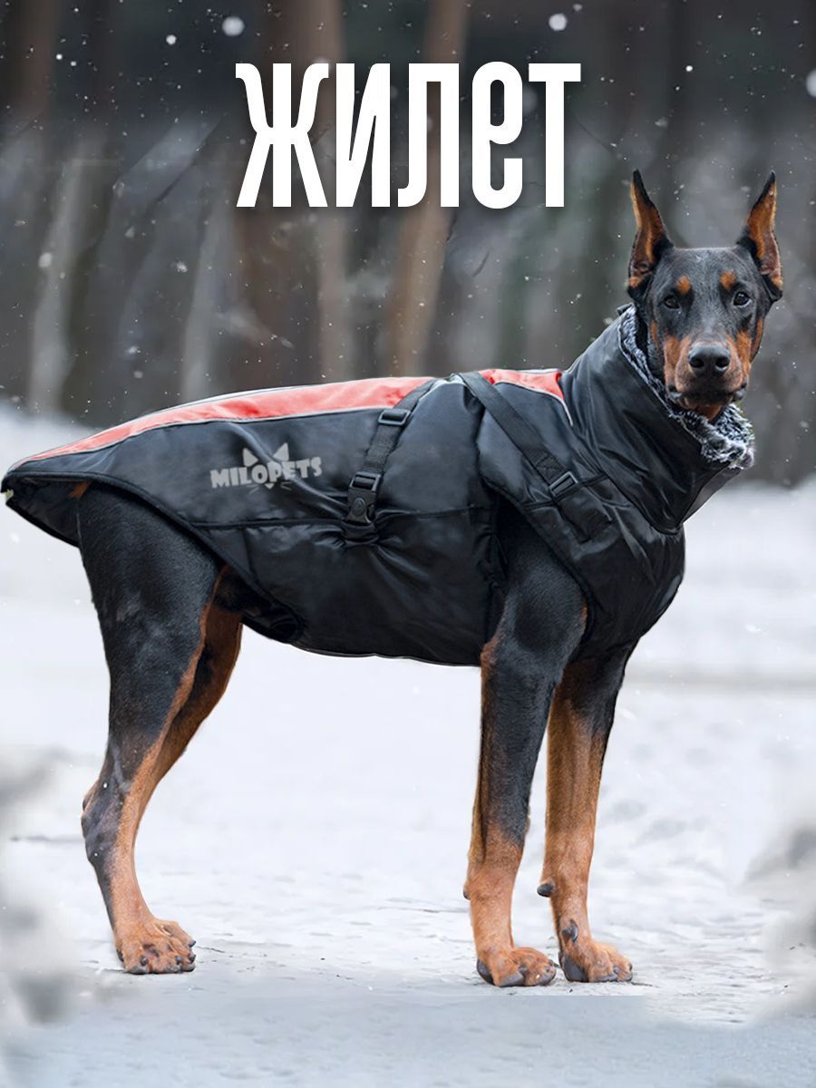 Одежда для собак средних и крупных пород MiloPets, жилет зима, XL