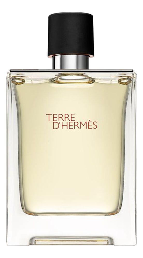 HERMES Terre d Hermes Мужская туалетная вода 100 мл edt Hermes купить