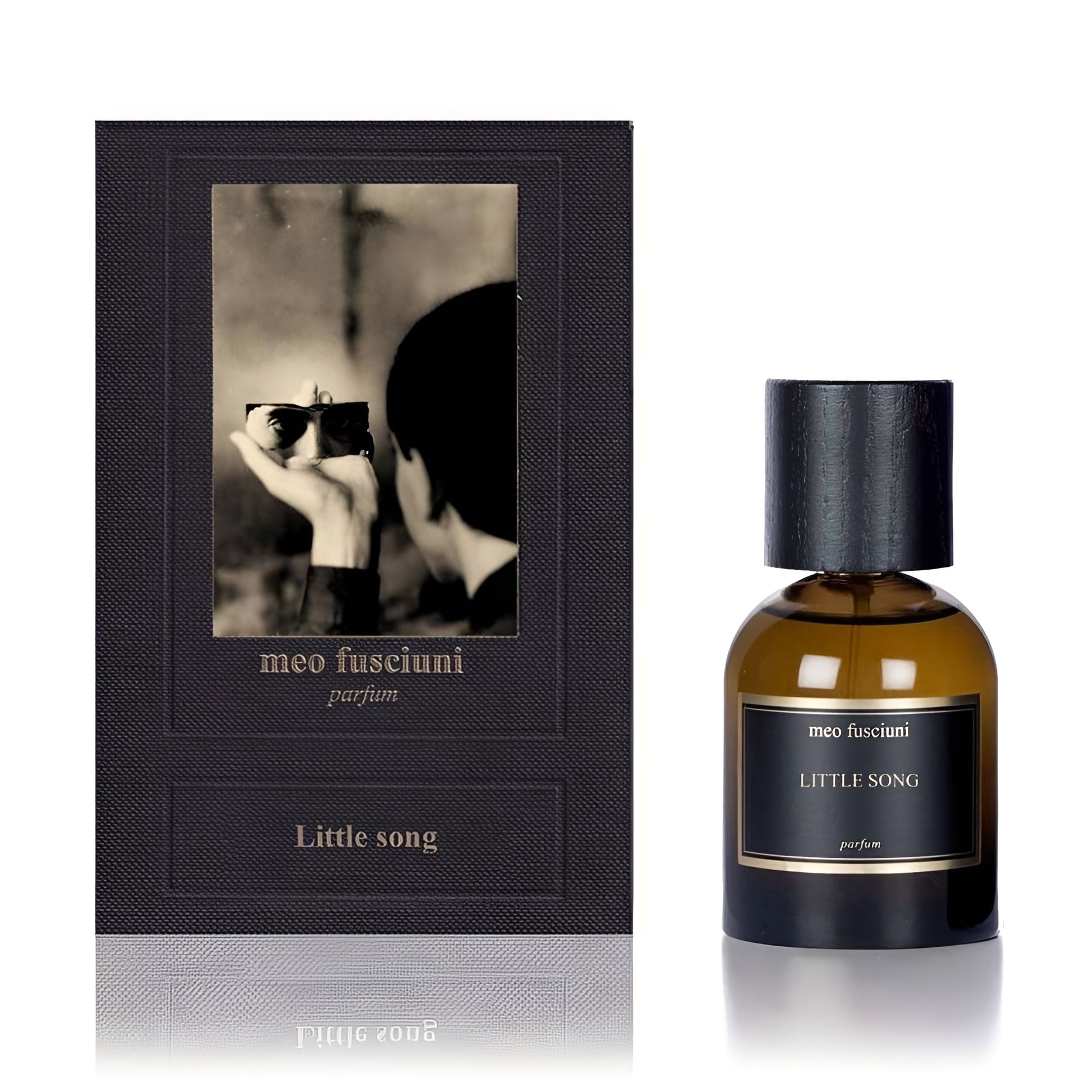 MEO FUSCIUNI LITTLE SONG PARFUM Парфюмерная вода унисекс 100 мл Meo Fusciuni