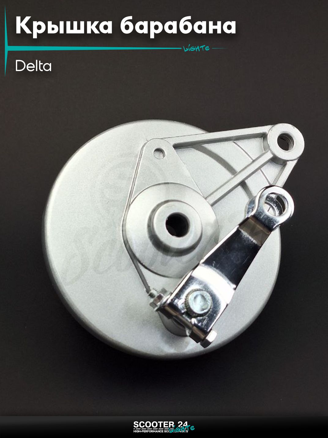 Крышка барабана тормозного ;зад; на мопед Delta +колодки d12 "LIPAI"