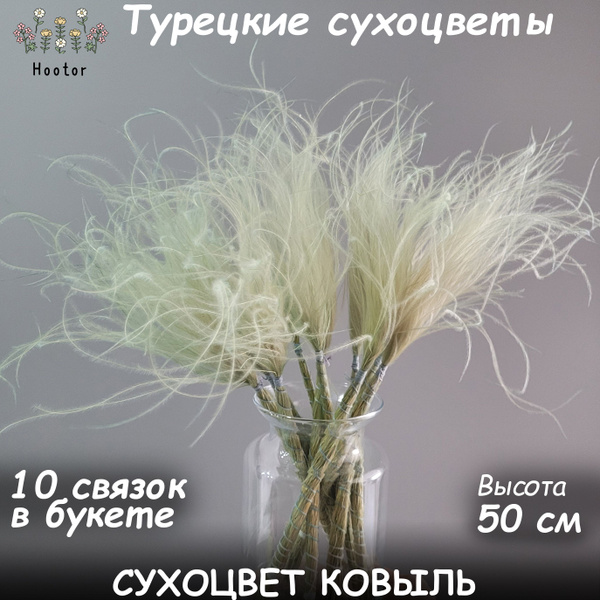 Сухоцветы Ковыль, 51 см, 100 гр, 10 шт купить по выгодной цене в ...