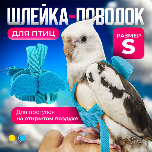 Шлейка поводок для попугая и других птиц с крылышками, размер S ...