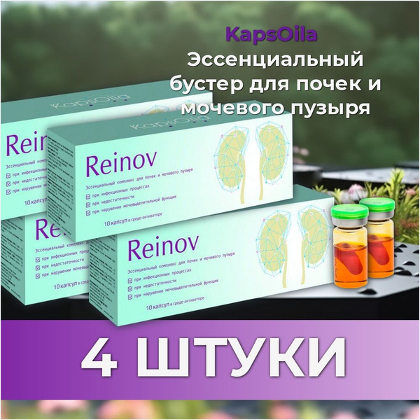 KapsOila, Reinov (Реинов) для почек и мочевого пузыря, 10 капсул, 4 ...