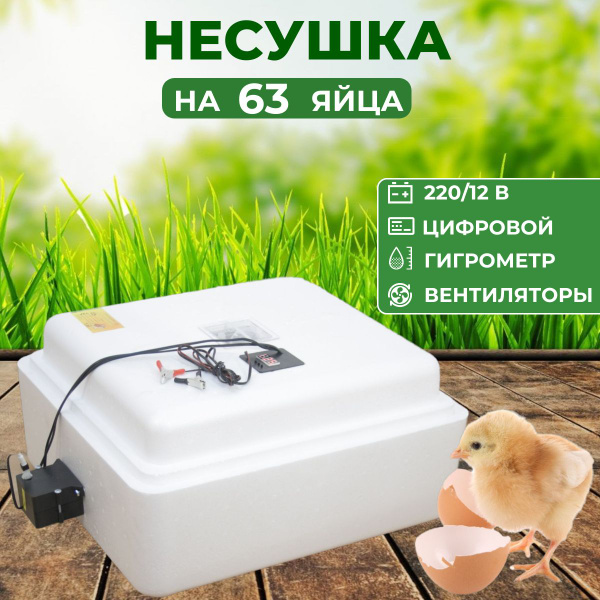 Инкубатор Несушка на 63 яйца с гигрометром и вентилятором 220/12 В ...