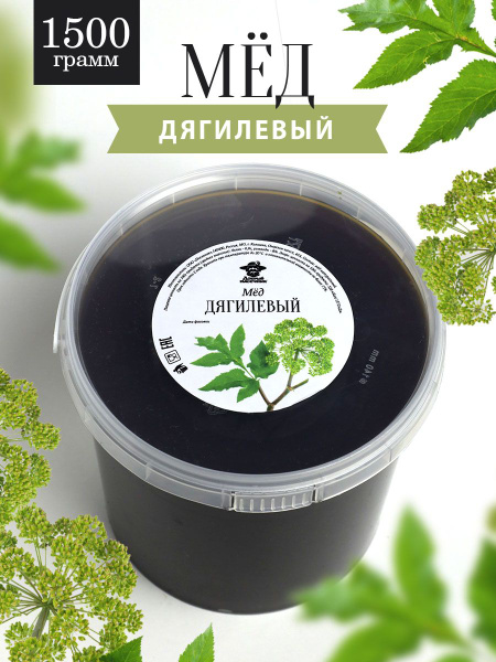 Дягилевый мед 1500 г, сладкий подарок, полезный продукт - купить с ...