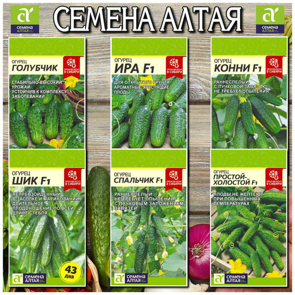 Огурцы Семена Алтая Огурец - купить по выгодным ценам в интернет ...