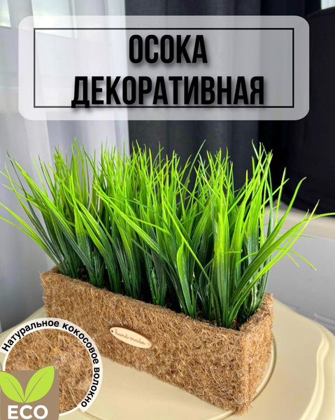 Купить Декоративная искусственная трава осока в кокосовом кашпо по ...